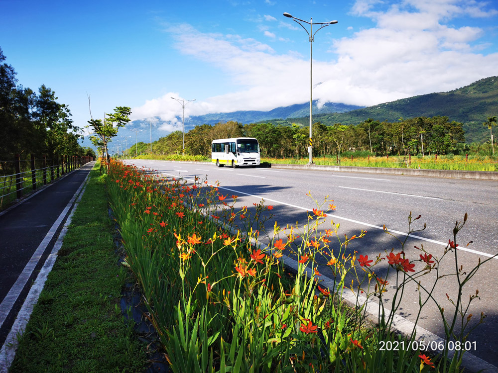 台9線花東縱谷公路安全景觀大道台灣原生植物盛開景像